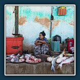 Anja Bender- Fischmarkt -  Myanmar
