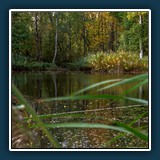 Die Weiherlandschaft 1