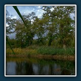 Die Weiherlandschaft 2