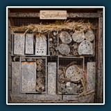 Insektenwohnheim