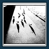 Schwarz/Weis - Kontrast