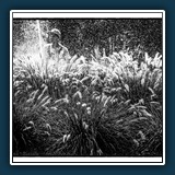 Schwarz/Weis - Kontrast