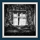 Schwarz/Weis - Kontrast