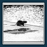 Schwarz/Weis - Kontrast