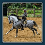 Ernst Weiss - Spanischer Reiter