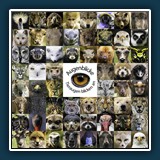 Bernd B. - Augenblicke