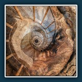 Margit Klaus - Collage 1