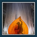 Margit Klaus - Collage 2