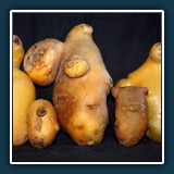 kombinieren / Emil Kepert