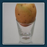 assozieren / Willi Faßbender