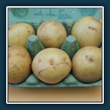 assoziieren / Willi Faßbender