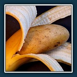 transformieren / Roswitha Flury