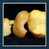 fragmentieren / Emil Kepert