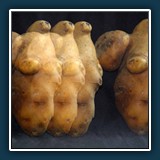 ergänzen / Emil Kepert