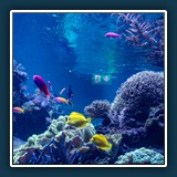 Andreas Blättner - Unterwasser-Notausgang