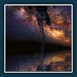 Gerd Stauder - Sky-Runner