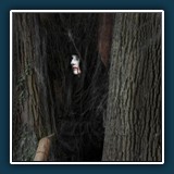 Hans-Peter  Reuther - Gruselig