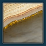 Margit Klaus - Natur