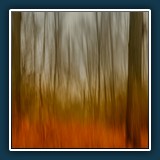 Margit Klaus - Natur