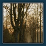 Margit Klaus - Natur