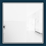 Margit Klaus - Schwarz Weiss