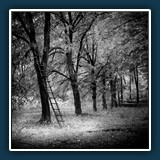 Margit Klaus - Schwarz Weiss