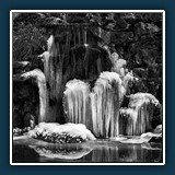 Margit Klaus - Schwarz Weiss