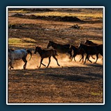 Osman Kadero - Türkei