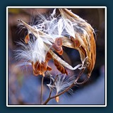 Herbst im Hermannshof