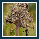 Herbst im Hermannshof