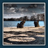 Silbersee 2 Bobenheim Roxheim