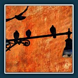 Walter Anstett - Venedig