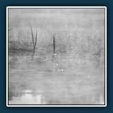 Andreas Skrenty - Lautlos