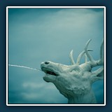 Andreas Skrenty - Wild Water