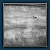 Andreas Skrenty - Wo bin ich