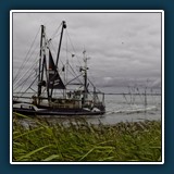 Gerhard Keppler - Zurück vom Fang