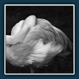 Marianne Berger - Mittagsruhe