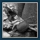 Walter Anstett ~ Abgelaufen