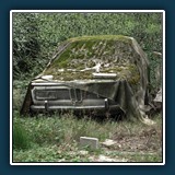 Marianne Berger ~ Letzte Ruhe