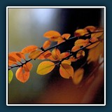 Ernst Weiss ~ Spätherbst