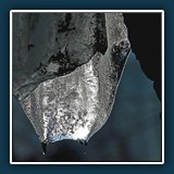 Ernst Weiss ~ Wie lange noch