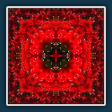 Helmut Benz - Tulpenkrone