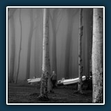 Georg Scherne - Pro-Gradient