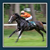 Emil Kepert - Galopprennen 1