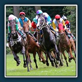 Emil Kepert - Galopprennen 3