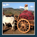 Peter Kurz - Sehe Dich