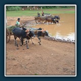 Peter Kurz - Vettel wer ist Vettel