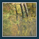 Marianne Berger - Herbstimpressionen I