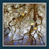 Marianne Berger - Herbstimpressionen I I