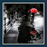 Ratimir Steffl - Rot